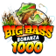 big-bass-bonanza-1000.se favicon